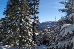 20200220_Karkonosze_5