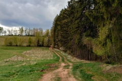 20200426_Wzgorza_Wlodzickie_16