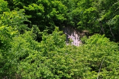 20200516_Pk_Chelmy_12