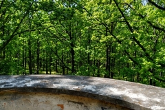 20200516_Pk_Chelmy_13