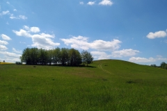 20200516_Pk_Chelmy_21