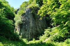 20200516_Pk_Chelmy_26