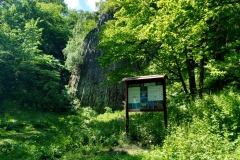 20200516_Pk_Chelmy_29