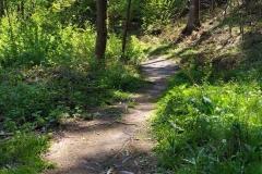 20200516_Pk_Chelmy_31