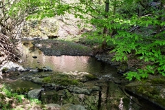 20200516_Pk_Chelmy_36