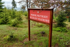 20200606_Dzikowiec_9