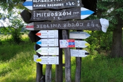 20200712_Suche_2