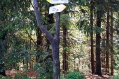 20200712_Suche_4