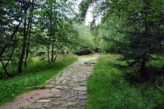 20200718_Karkonosze_1