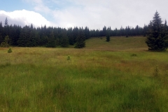 20200718_Karkonosze_13