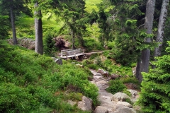 20200718_Karkonosze_3