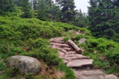 20200718_Karkonosze_4