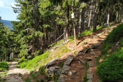 20200722_Karkonosze_Cz_20