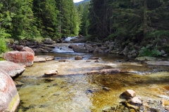 20200722_Karkonosze_Cz_31