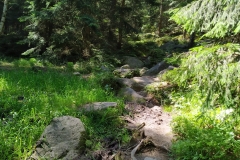 20200725_Rudawy_Janowickie_32