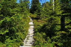 20200801_Izery_Cz_10