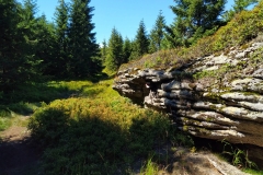 20200801_Izery_Cz_14