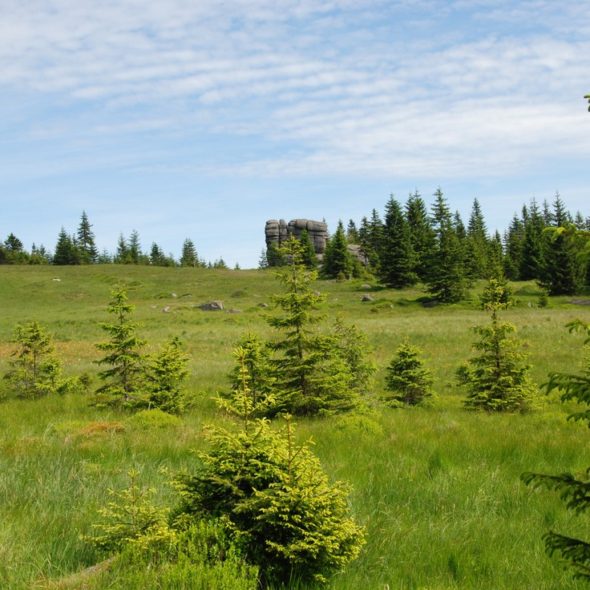 20170615_Karkonosze_05