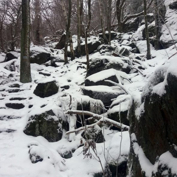 20190126_Sleza_Olbrzymki_3