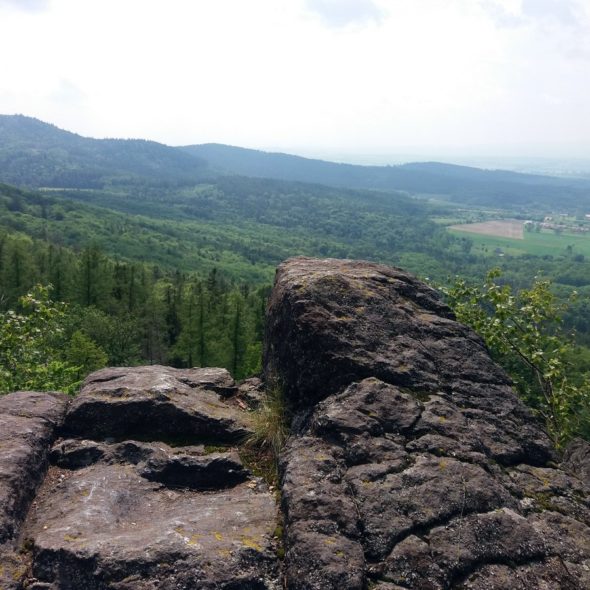 20190526_Skalna_2