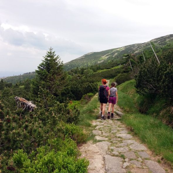 20190615_Szrenica_13