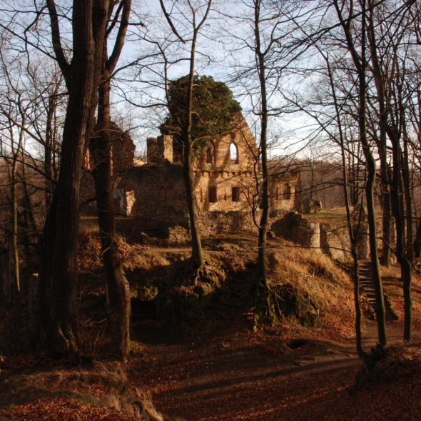 Stary Książ