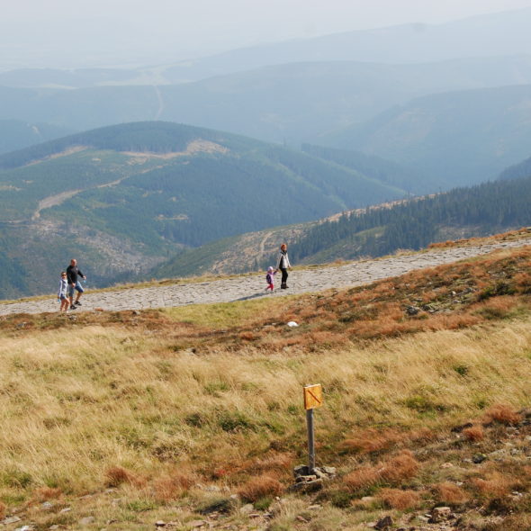 Śnieżka