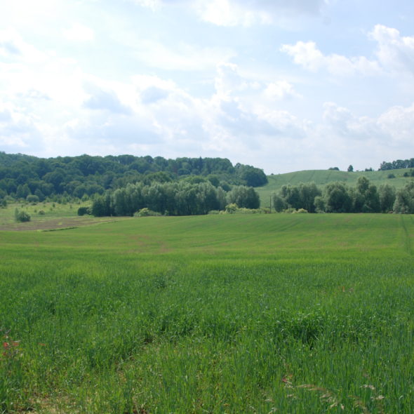 Góry Kocie