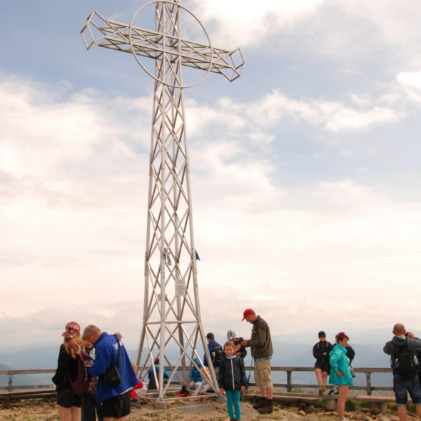 Tarnica
